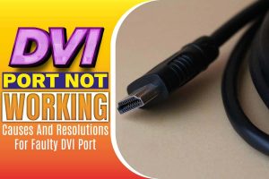 DVI Port Not Working