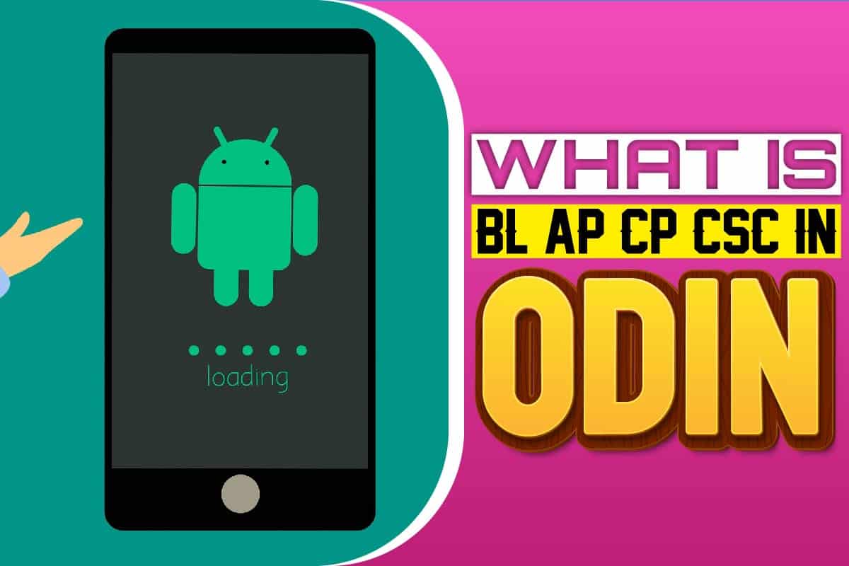 what is bl ap cp csc in odin